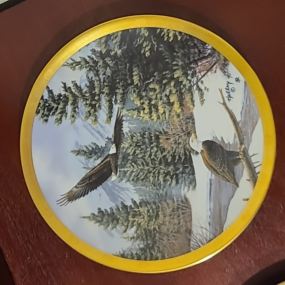 Collector plates - Picture 5 of 8